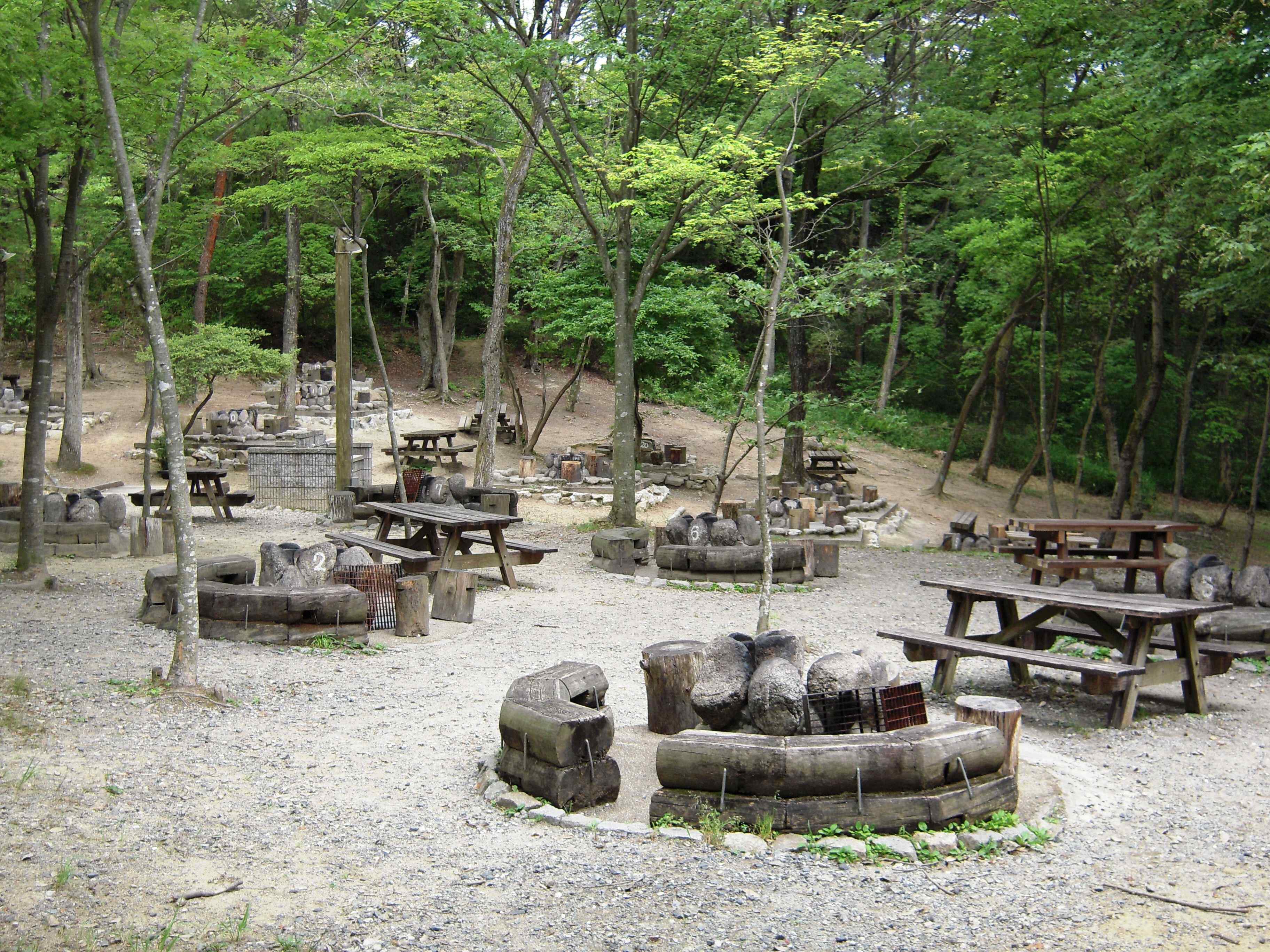 🌲 다카쓰키 삼림 관광 센터(타카츠키 신린 칸코 센타) 이미지 4